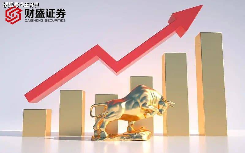 零基础投资者是否适合选择股票配资平台？